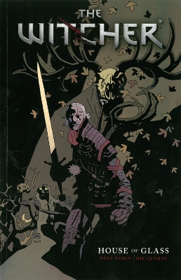 Book cover for The Witcher Volume 1