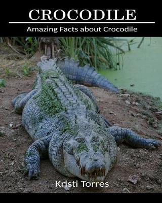 Book cover for Amazing Facts about Crocodile