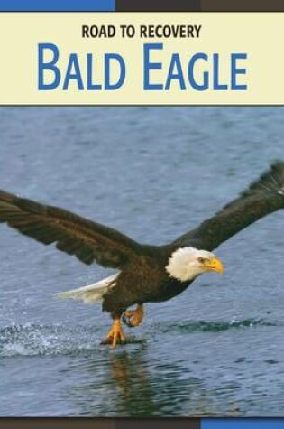 Cover of Bald Eagle