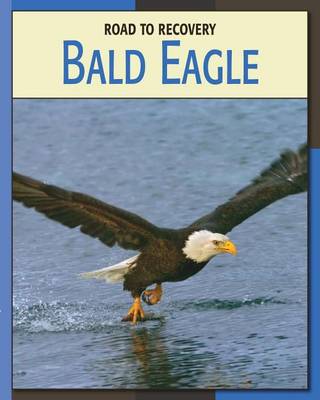 Cover of Bald Eagle