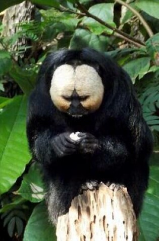 Cover of White-Faced Saki Monkey Journal