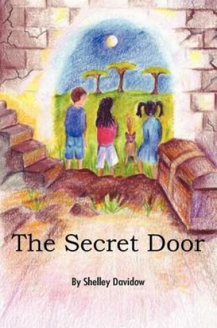 Cover of The Secret Door