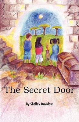Book cover for The Secret Door