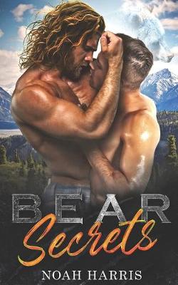 Book cover for Bear Secrets