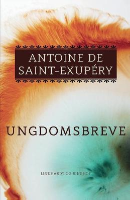 Book cover for Ungdomsbreve