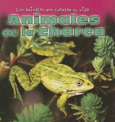 Book cover for Animales de la Charca (Animals at the Pond)