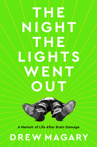 Book cover for The Night the Lights Went Out