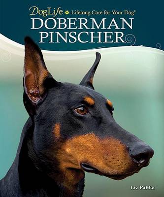 Book cover for Doberman Pinscher