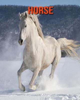 Book cover for Horse