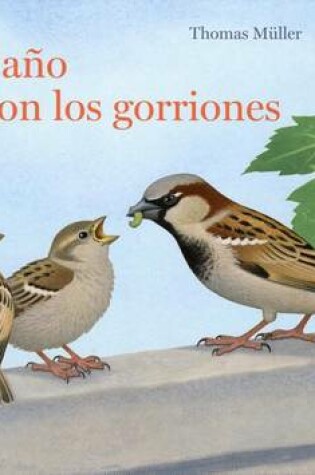 Cover of Un Ano Con Los Gorriones