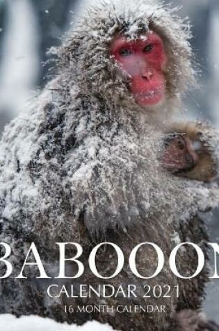 Cover of Baboon Calendar 2021