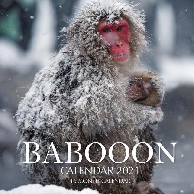 Book cover for Baboon Calendar 2021