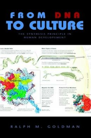 Cover of From DNA to Culture