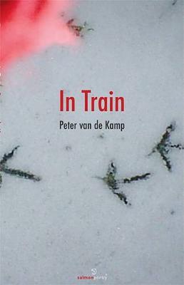 Book cover for In Train