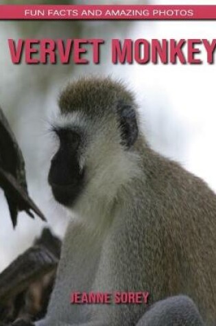 Cover of Vervet Monkey