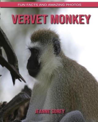 Book cover for Vervet Monkey