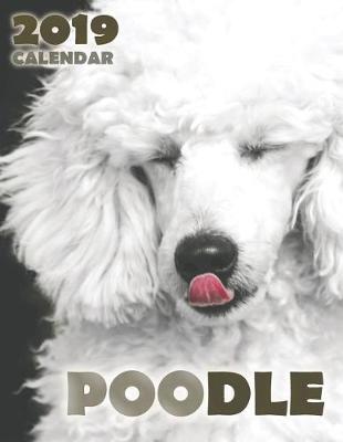 Book cover for Poodle 2019 Calendar