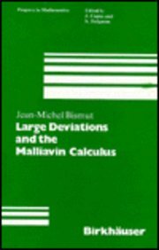 Book cover for Large Deviations and the Malliavin Calculus