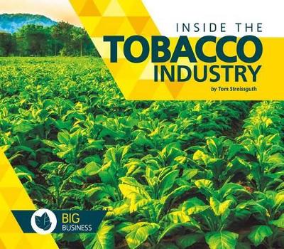 Book cover for Inside the Tobacco Industry