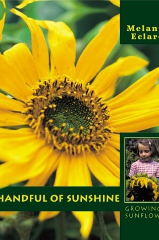 Cover of A Handful of Sunshine- Growing a Sunflower