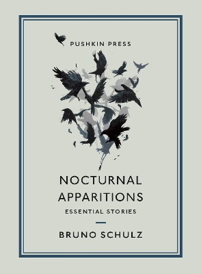 Book cover for Nocturnal Apparitions