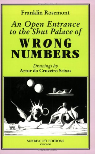 Book cover for An Open Entrance to the Shut Palace of Wrong Numbers