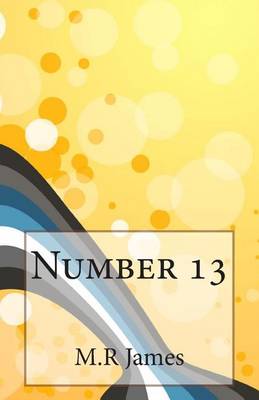 Book cover for Number 13