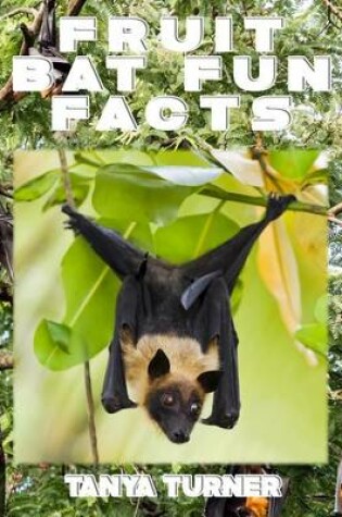 Cover of FRUIT BAT Fun Facts