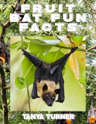 Book cover for FRUIT BAT Fun Facts