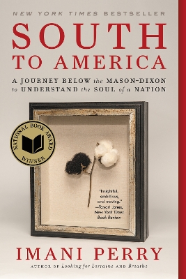 Book cover for South to America