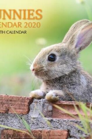 Cover of Bunnies Calendar 2020