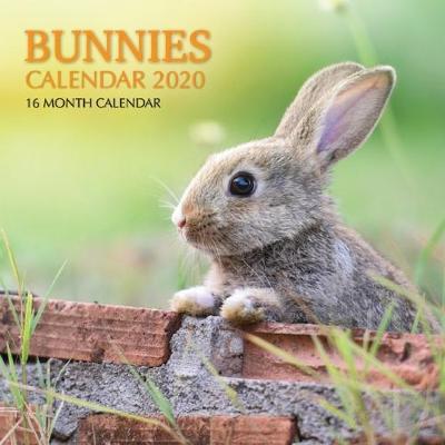 Book cover for Bunnies Calendar 2020