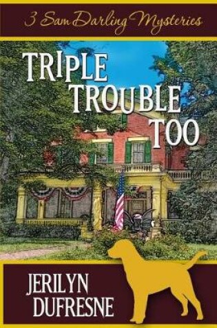 Cover of Triple Trouble Too