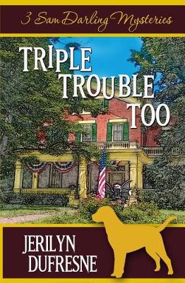 Book cover for Triple Trouble Too