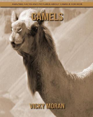 Book cover for Camels