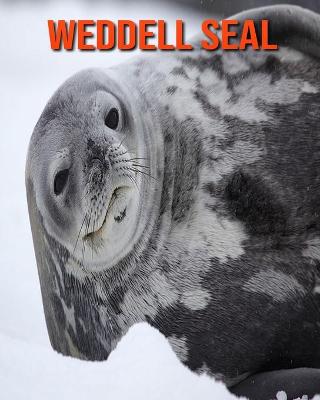 Book cover for Weddell Seal