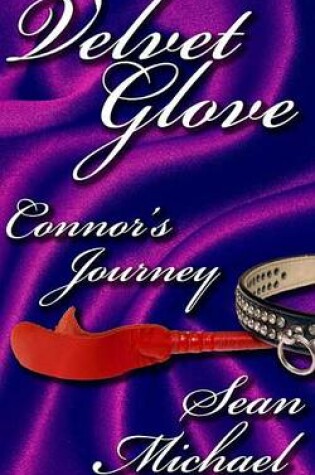 Cover of Connor's Journey, a Velvet Glove Story