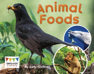 Cover of Animal Foods