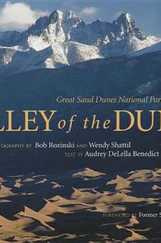 Cover of Valley of the Dunes