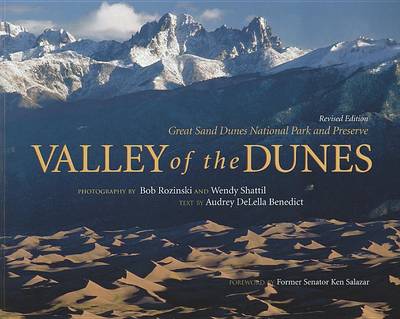 Book cover for Valley of the Dunes