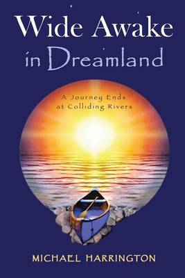 Book cover for Wide Awake in Dreamland