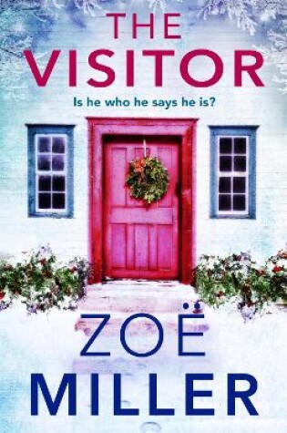 Cover of The Visitor