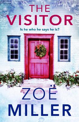 Book cover for The Visitor