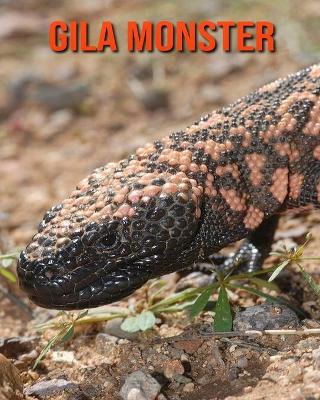 Book cover for Gila Monster