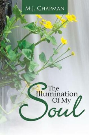 Cover of The Illumination of My Soul