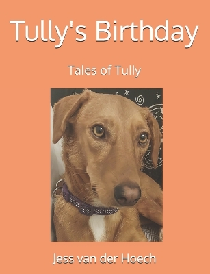 Cover of Tully's Birthday