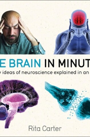 Cover of The Brain in Minutes