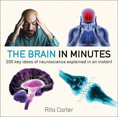 Book cover for The Brain in Minutes