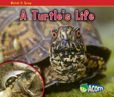 Cover of A Turtle's Life