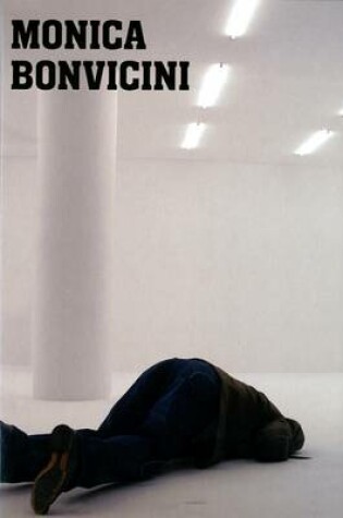 Cover of Monica Bonvicini